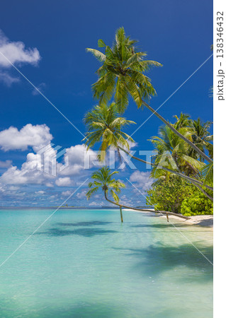 Perfect tropical island beach with crystal blue ocean and sunny sky, idyllic summer paradise vacation landscape Perfect tropical island beach with crystal blue ocean and sunny sky, idyllic summer paradise vacation landscape 138346432