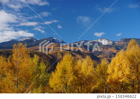 黄色く染まったカラマツ林を前景に秋晴れの青空広がる八ヶ岳連峰の風景 黄色く染まったカラマツ林を前景に秋晴れの青空広がる八ヶ岳連峰の風景 138346622