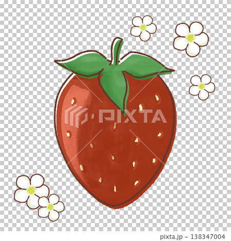 草莓和草莓花的插圖 草莓和草莓花的插圖 138347004