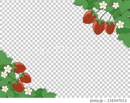 草莓和草莓花框 草莓和草莓花框 138347013