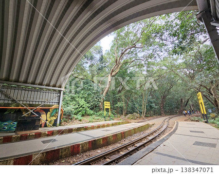 Toy train tracks curving through dense forest beneath a covered platform Toy train tracks curving through dense forest beneath a covered platform 138347071