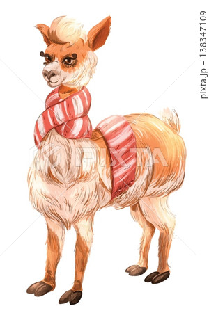 Watercolor style vector illustration of cute standing llama in red scarf isolated on white background Watercolor style vector illustration of cute standing llama in red scarf isolated on white background 138347109