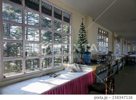 Sunlit dining area with large glass windows, buffet counter, and forest view outside, capturing a quiet mountain hotel interior with natural light. 138347116