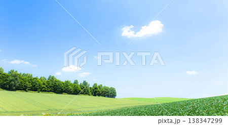 青空が広がる初夏の北海道美瑛町の爽やかな風景 青空が広がる初夏の北海道美瑛町の爽やかな風景 138347299
