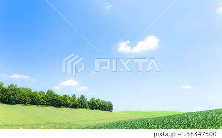 青空が広がる初夏の北海道美瑛町の爽やかな風景 138347300