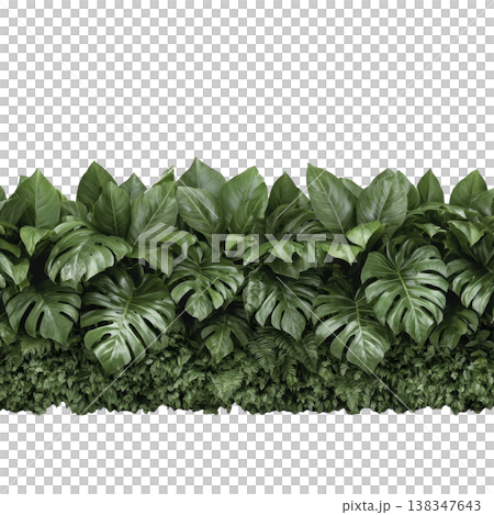 Lush green tropical leaves form dense, vibrant foliage border, creating natural and refreshing atmosphere. variety of leaf shapes and textures adds depth and interest to scene 138347643