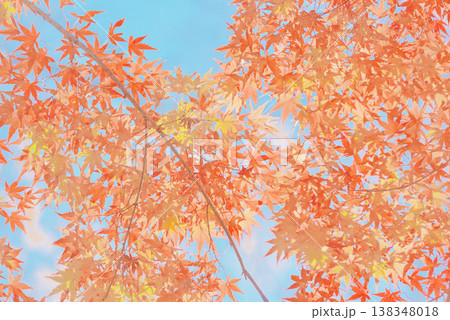 背景素材　鮮やかな紅葉 138348018