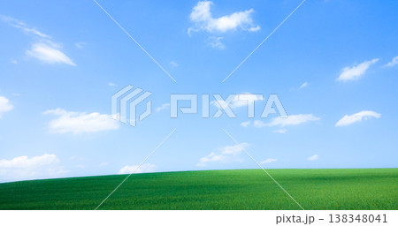 爽やかな青空と白い雲と青麦畑が印象的な夏の北海道美瑛町の風景 爽やかな青空と白い雲と青麦畑が印象的な夏の北海道美瑛町の風景 138348041