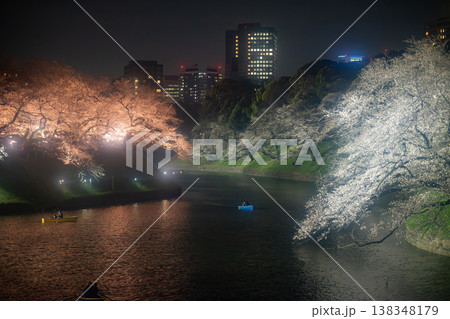 千鳥ヶ淵　満開の夜桜 138348179