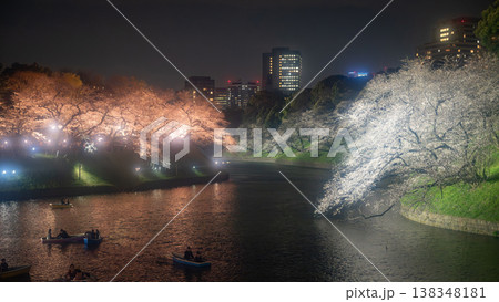千鳥ヶ淵　満開の夜桜 138348181