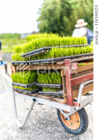 田植えの準備で苗を運ぶ台車 138348255