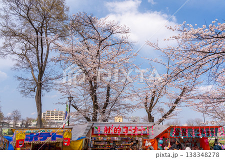 八王子市 桜祭り 富士森公園 八王子市 桜祭り 富士森公園 138348278