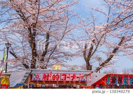 八王子市　桜祭り　富士森公園 138348279
