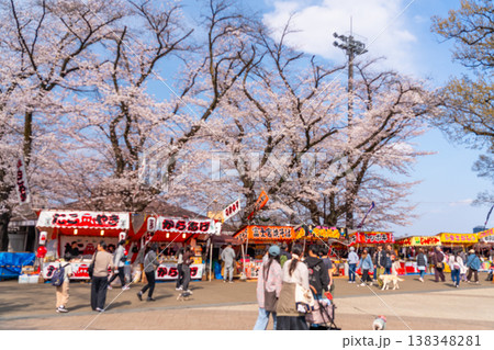 八王子市 桜祭り 富士森公園 八王子市 桜祭り 富士森公園 138348281