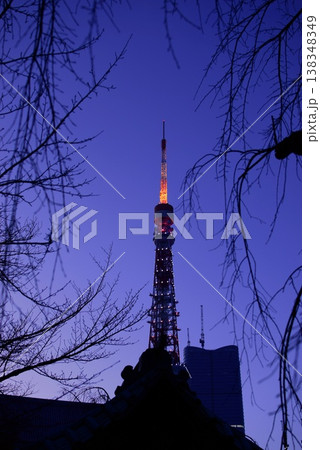 ライトアップされた夜の東京タワー ライトアップされた夜の東京タワー 138348349