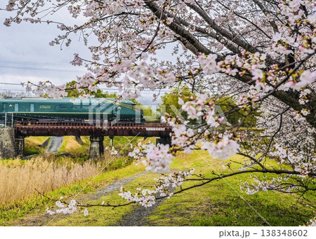 桜満開の近江路を疾走する瑞風 びわ湖周遊の旅 桜満開の近江路を疾走する瑞風 びわ湖周遊の旅 138348602