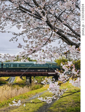 びわ湖周遊・せとうちコースで瑞風に桜の歓迎 びわ湖周遊・せとうちコースで瑞風に桜の歓迎 138348604