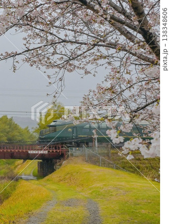 桜の中を走る瑞風　早朝の嬉しい出会い 138348606