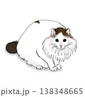 猫のイラスト　猫　ノルウェージャンフォレストキャット　イラスト　かわいい 138348665