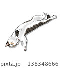 猫のイラスト　猫　寝ている　のびのび　イラスト　かわいい 138348666