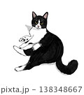 猫のイラスト　猫　ハチワレ　白黒　白黒の猫　ふせ　イラスト　かわいい 138348667