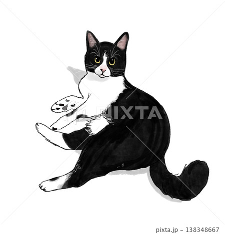 猫のイラスト 猫 ハチワレ 白黒 白黒の猫 ふせ イラスト かわいい 猫のイラスト 猫 ハチワレ 白黒 白黒の猫 ふせ イラスト かわいい 138348667