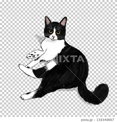 猫のイラスト 猫 ハチワレ 白黒 白黒の猫 ふせ イラスト かわいい 猫のイラスト 猫 ハチワレ 白黒 白黒の猫 ふせ イラスト かわいい 138348667