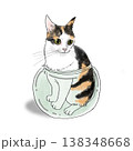 猫のイラスト　猫　瓶に入った猫　縞三毛　三毛猫　イラスト 138348668