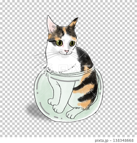 猫のイラスト　猫　瓶に入った猫　縞三毛　三毛猫　イラスト 138348668