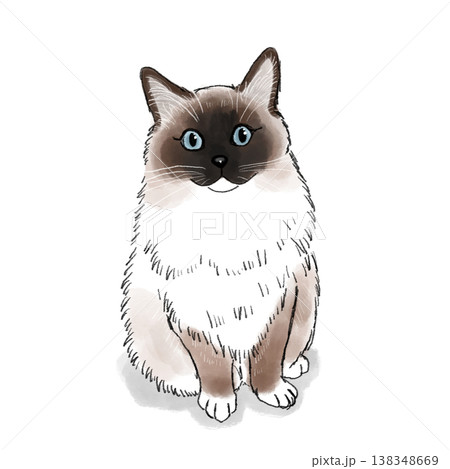 猫のイラスト 猫 イラスト ラグドール かわいい 猫のイラスト 猫 イラスト ラグドール かわいい 138348669