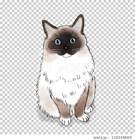 猫のイラスト 猫 イラスト ラグドール かわいい 猫のイラスト 猫 イラスト ラグドール かわいい 138348669