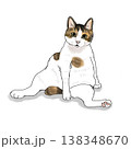 猫のイラスト　猫　おやじ座り　かわいい　イラスト　ぽっちゃり 138348670