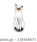 猫のイラスト　猫　かわいい　イラスト　お座り　 138348671
