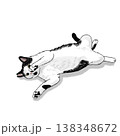猫のイラスト　猫　のびのび　イラスト　寝転がっている猫　かわいい 138348672