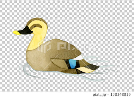 Swimming Mallard Duck - Cute and whimsical hand-drawn watercolor illustration of an animal Swimming Mallard Duck - Cute and whimsical hand-drawn watercolor illustration of an animal 138348819