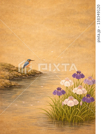 川辺の翡翠と花菖蒲 138349120