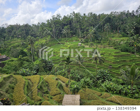 バリ島 ウブド テガラランライステラス バリ島 ウブド テガラランライステラス 138349394