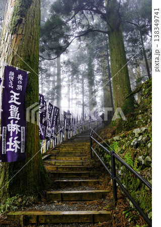 玉置神社階段の参道(縦) 玉置神社階段の参道(縦) 138349741