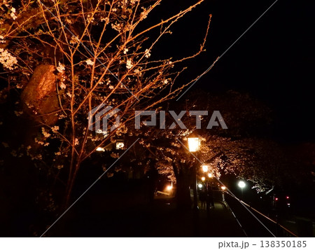 春の近隣公園に咲いた桜 春の近隣公園に咲いた桜 138350185