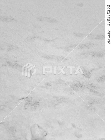 It is a snowy floor. 138350252