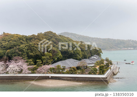 雨に霞む春のミキモト真珠島と満開の桜 雨に霞む春のミキモト真珠島と満開の桜 138350310