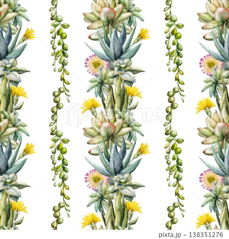 Striped seamless pattern with succulent rosettes, flowering cacti and cascading trailing vines in rows. Isolated illustration hand drawn in watercolor. Textile prints, wrapping paper, fabric design 138351276