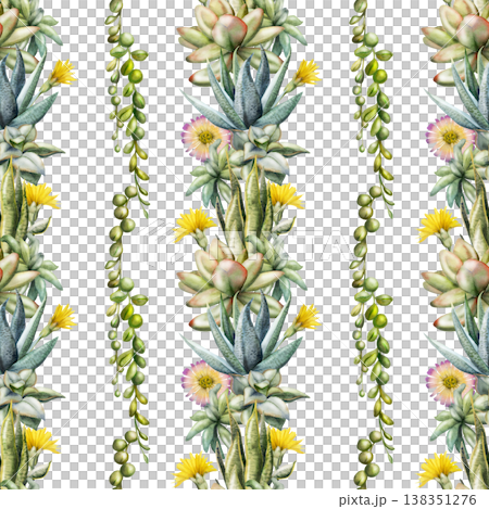 Striped seamless pattern with succulent rosettes, flowering cacti and cascading trailing vines in rows. Isolated illustration hand drawn in watercolor. Textile prints, wrapping paper, fabric design 138351276