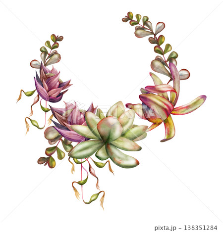 Watercolor kalanchoe rosette succulents, protea, cascading foliage of tropical bromeliad vine, sedum leaves. Wreath frame hand drawn for organic skincare packaging, florist branding, boutique labels. 138351284
