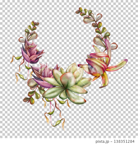 Watercolor kalanchoe rosette succulents, protea, cascading foliage of tropical bromeliad vine, sedum leaves. Wreath frame hand drawn for organic skincare packaging, florist branding, boutique labels. 138351284