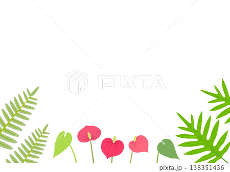 アンスリウムとシダのイラストをあしらったトロピカルな庭の背景素材 138351436