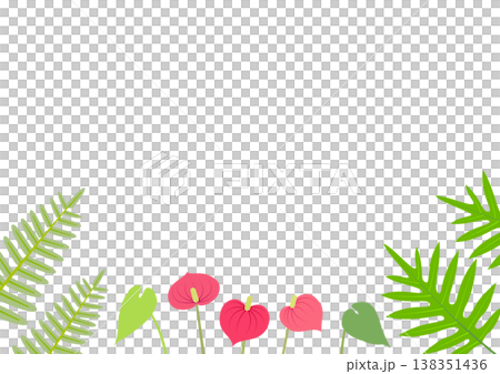 アンスリウムとシダのイラストをあしらったトロピカルな庭の背景素材 138351436