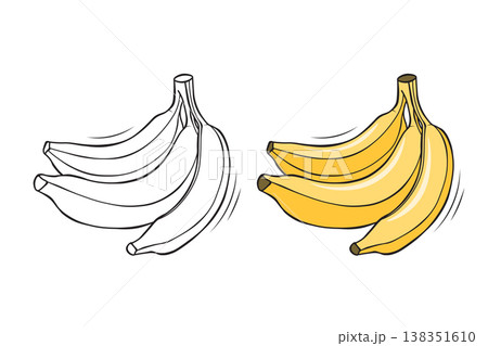 Bananas outline and colored version side by side, hand drawn fruit vector illustration for coloring book pages Bananas outline and colored version side by side, hand drawn fruit vector illustration for coloring book pages 138351610