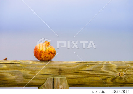 Pomegranate fruit outside against blue sea and sky Pomegranate fruit outside against blue sea and sky 138352016