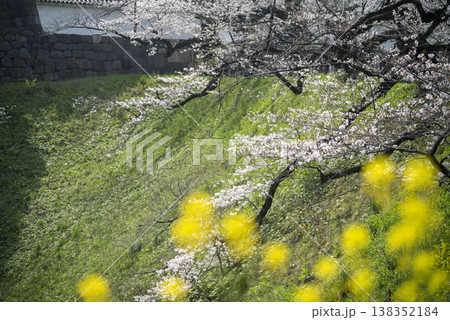 春の九段下 田安門付近の風景 3月 春の九段下 田安門付近の風景 3月 138352184